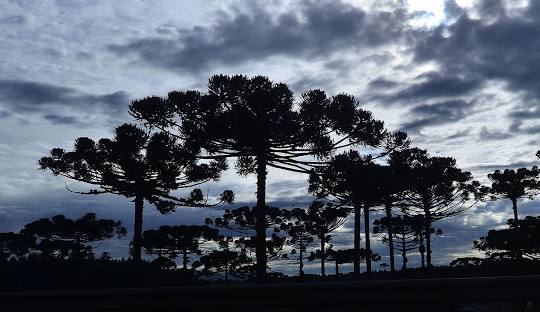 Refrigeração em Araucária